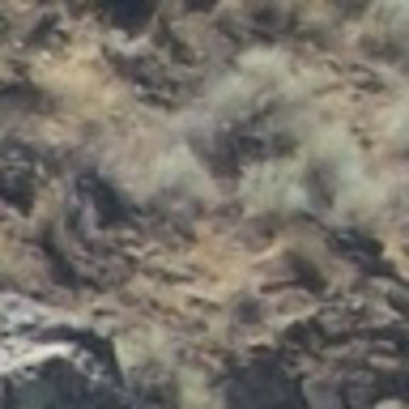 Meet your Posher, Okami - Picture 1 of 1